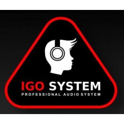 IGO System