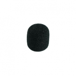 Wiatrochron WS-20